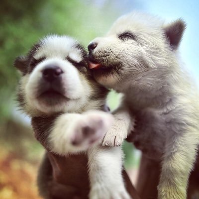 John__Waits's profile picture. Don't think. Don't fucking think. Because when you think you realise just how fucked up everything really is.