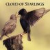 cloudofstarlings (@starlingsrock) Twitter profile photo cloudofstarlings (@starlingsrock) Twitter profile photo