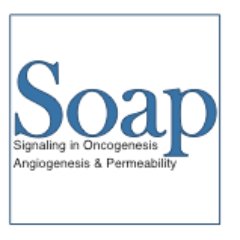 LabSoap Profile Picture