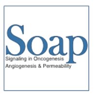 SOAP (@labsoap) 's Twitter Profile Photo SOAP (@labsoap) 's Twitter Profile Photo