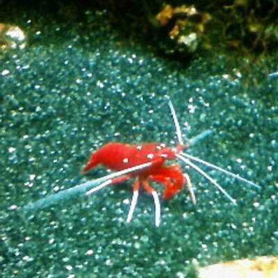 フジサワアヤ オススメですよ 逆立ちは内臓下垂を定位置に戻すので 内蔵機能が活発化します Hirosaki710 凄い Rt Ayanko21 3weekくらい不調だった胃が 逆立ちによって即回復した件 今日も壁に向かって10秒 3回の逆立ちをやります宣言 フジサワアヤ オススメですよ 逆立ちは内臓下垂を定位置に戻すので 内蔵機能が活発化します Hirosaki710 凄い Rt Ayanko21 3weekくらい不調だった胃が 逆立ちによって即回復した件 今日も壁に向かって10秒 3回の逆立ちをやります宣言