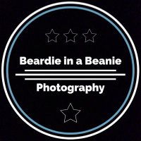 Beardie in a Beanie (@beardieinabeani) Twitter profile photo