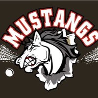 MJKLAX (@mjklaxmustangs) 's Twitter Profile