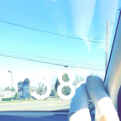 Mycrazypug12's profile picture. Goal 1,000 followers plz make it happen