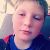 King Bee4681 (@kingbee4681) 's Twitter Profile