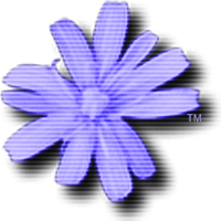 C64 Forever (@c64forever) 's Twitter Profile