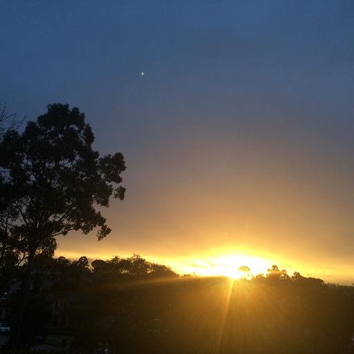 dbeibner's profile picture. 