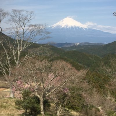 趣味はゴルフ(オフィシャルハンディキャップ18)、スポーツ評論(主に野球、プロレス)、youtube視聴、見る将