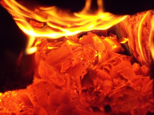 Midasonline's profile picture. Free & Powerful  System Can Have You In Profit Fast.It's Free Forever.