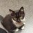 loopy_loo_loo's profile image