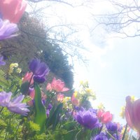 友澤綾乃 Ayano Tomozawa (@at_photograph) 's Twitter Profile