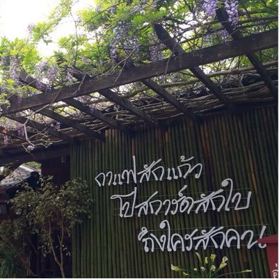 saphanhinx's profile picture. Sports