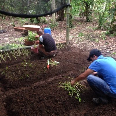 FundacionPacha's profile picture. Non profit organization, works with indigenous farmers and small farmers to promote social change through sustainable development projects.