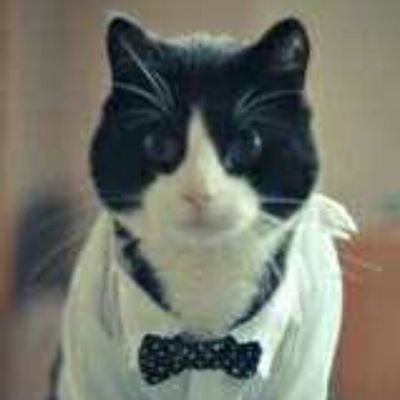 dubbletroubble's profile picture. I'm just an annoying asshole