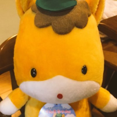あさちゃん🐈さんのプロフィール画像