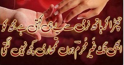 f09973104e9d4dc's profile picture. 