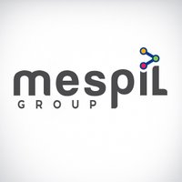 Mespil Group (@mespilgroup) 's Twitter Profile Photo