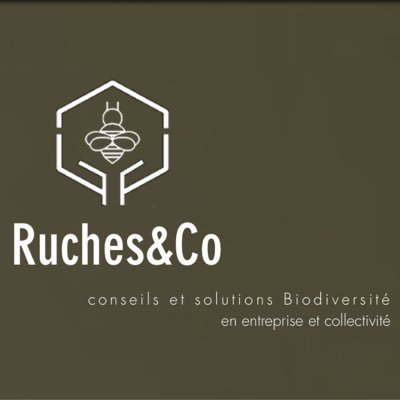 Ruches&Co propose aux entreprises et collectivités, des solutions et accompagnements permettant de compenser leurs impacts sur l'environnement.