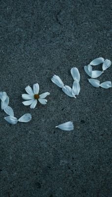 eqpdJdxWYH3xSYN's profile picture. 