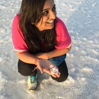 Ina Gupta (@guptaaina) 's Twitter Profile