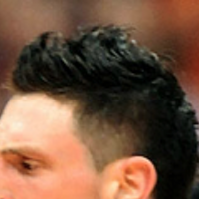 Profile Picture of Andy Rautins' Hair (@andyrautinshair) on Twitter