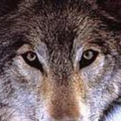 vancouverfilm's profile picture. INVITE ONLY