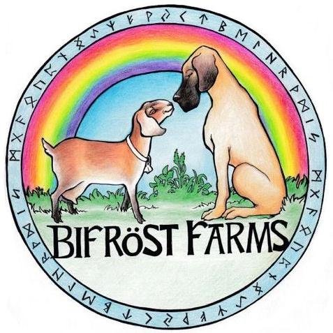 20 diverse acres of spoiled dogs and humanely raised goats. Just a nerdy goatherd providing local cheese, sustainable love & a place for the old gods.