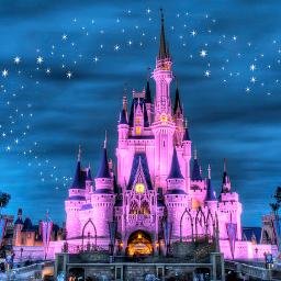 Image result for disney world castle