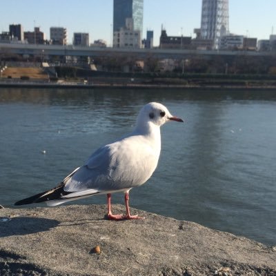 htkym's profile picture. 敬意・感謝・絆