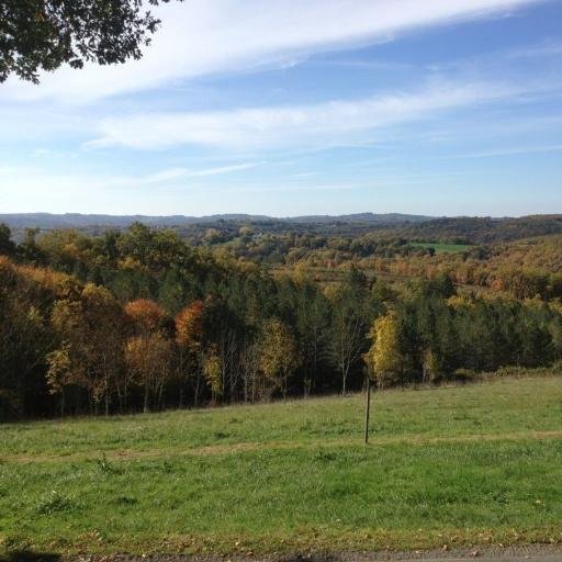 brioual_lubna's profile picture. humanité