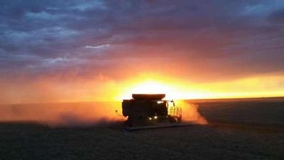 jacobggf's profile picture. Connoisseur of life, family, God, and agriculture