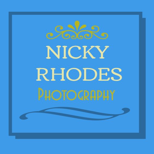Wedding Photographer Carmarthen South West Wales. Also offering party, events plus head shots / portraits.

Other interests include gardening, wildlife, cooking