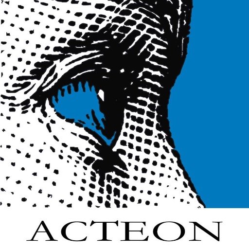 ACTEON Profile