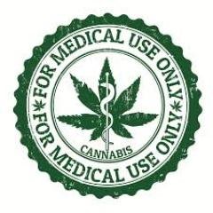 TerpyFarms's profile picture. 