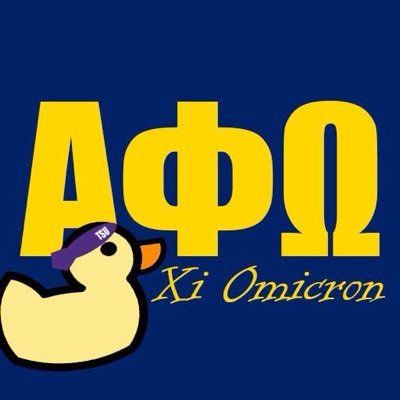 love service? need friends? wanna be a leader? APO-Xi Omicron. Est 1963, oldest Greek at TSU and one of the few co-ed Greek organizations on campus.