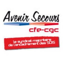 Section Essonne du syndicat des officiers et des cadres du SDIS, le service départemental d'incendie et de secours.