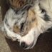 GO BLUE--WMU HOCKEY CHAMPS--LOVE ALL DOGGIES (@tempeum1) Twitter profile photo GO BLUE--WMU HOCKEY CHAMPS--LOVE ALL DOGGIES (@tempeum1) Twitter profile photo