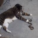 Jean Stump - @beanbump - Twitter