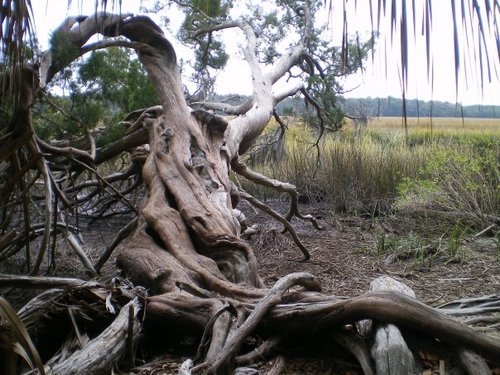 GTLibertarian's profile picture. Father, Brother, Son, Ramblin' Wreck from Georgia Tech, UMPHREAK, Spreadneck, Libertarian, Skygazer, Music Snob, College Football/Soccer/NASCAR/Racin' fan!