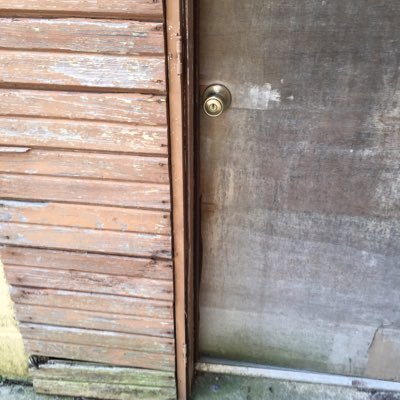 uniqe_nbody's profile picture. 