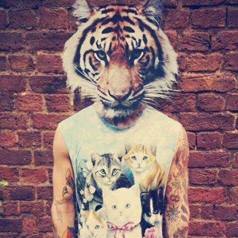 HumbertoDuva's profile picture. 