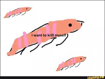 20ssmith6's profile picture. 