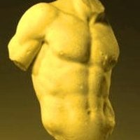 Adonis Admirer (@adonis_admirer) 's Twitter Profile Photo Adonis Admirer (@adonis_admirer) 's Twitter Profile Photo
