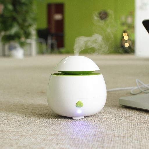 Aroma diffuser and USB mini humidifier Manufacturer.Welcome to contact with me.