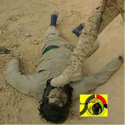 mmn1963's profile picture. السياسة الأخبار الأخبار التكنولوجيا