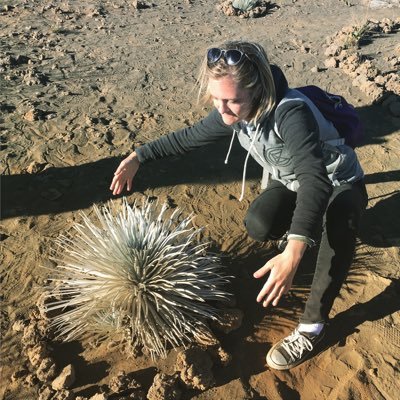 ashlyrymnd's profile picture. plants & beaches