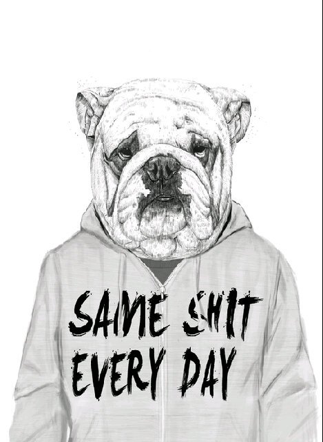 HoodLife