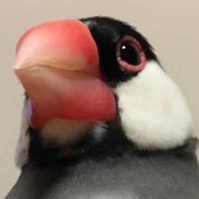 なつこさんのプロフィール画像