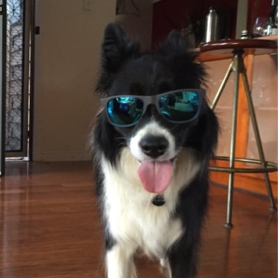 BeatTankStudio's profile picture. Elevate Your Audio with Beat Tank Productions recording studio based in Melbourne Australia. Audio Post Production, recording, mixing, mastering podcast service