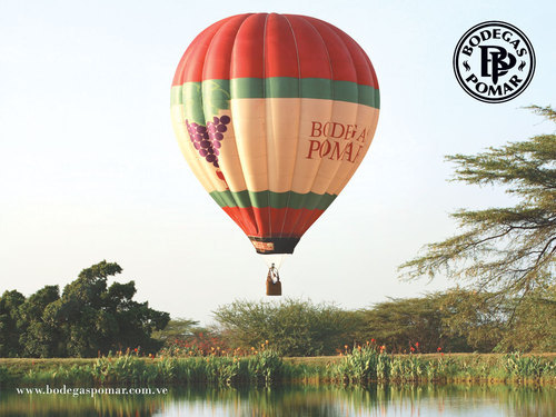 mainav's profile picture. Periodista  especializada en arte, vida y moda. aficionada a la lectura, el arte y las bromelias